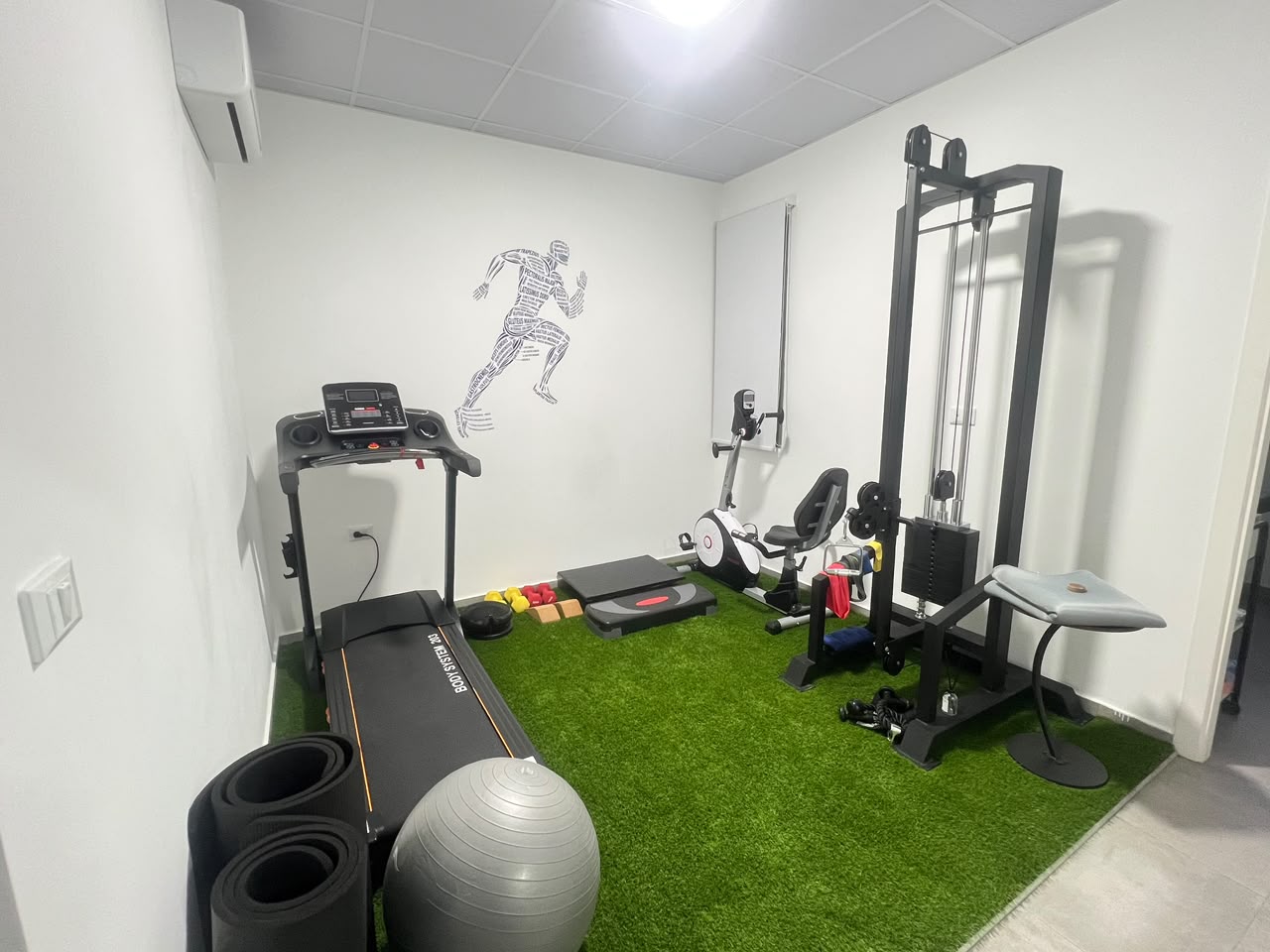 Rehabilitation training area with treadmill, exercise bike, strength station and gym ball
